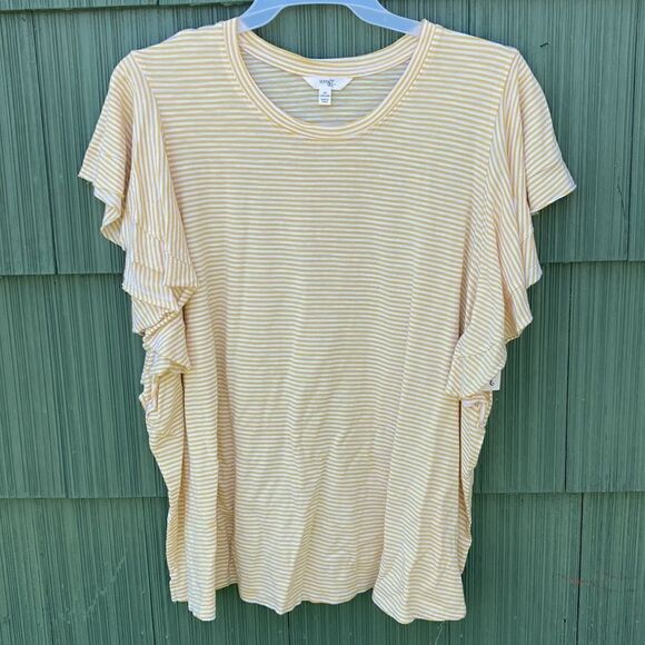 WOMENS Plus Size Flutter Sleeve Knit Top T-Shirt Blouses 2-Pack Size XXL - Picture 2 of 14